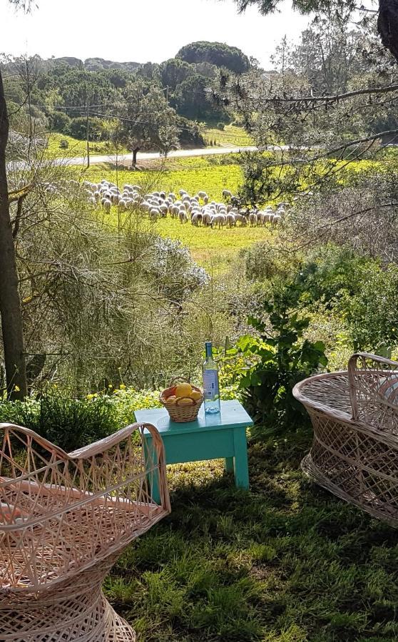 Morphee Valdareina, Piscine Chauffee, Benagil-Carvoeiro Lägenhet Carvoeiro  Exteriör bild